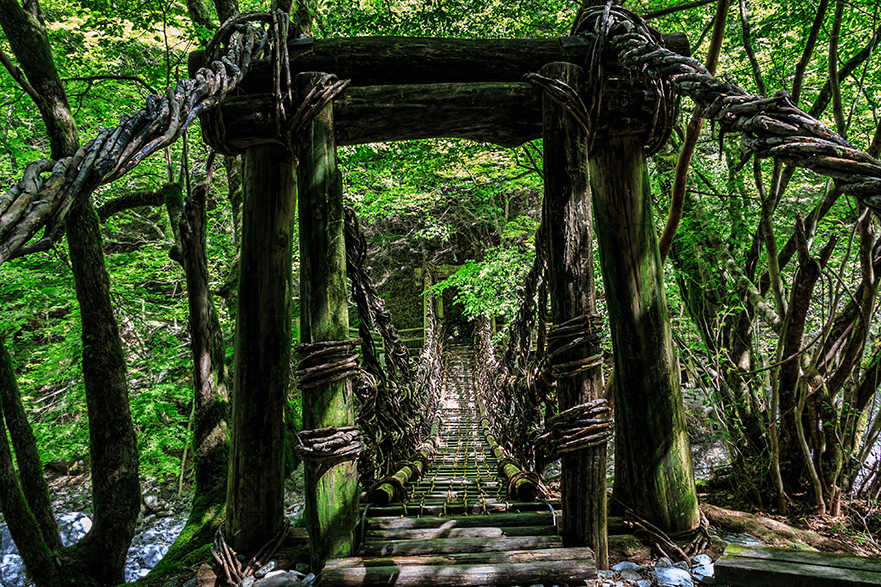 Nature and Food Tour across Shikoku