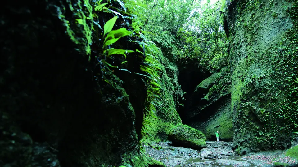 Delve deep on a Japanese cave excursion at Ioki Cave