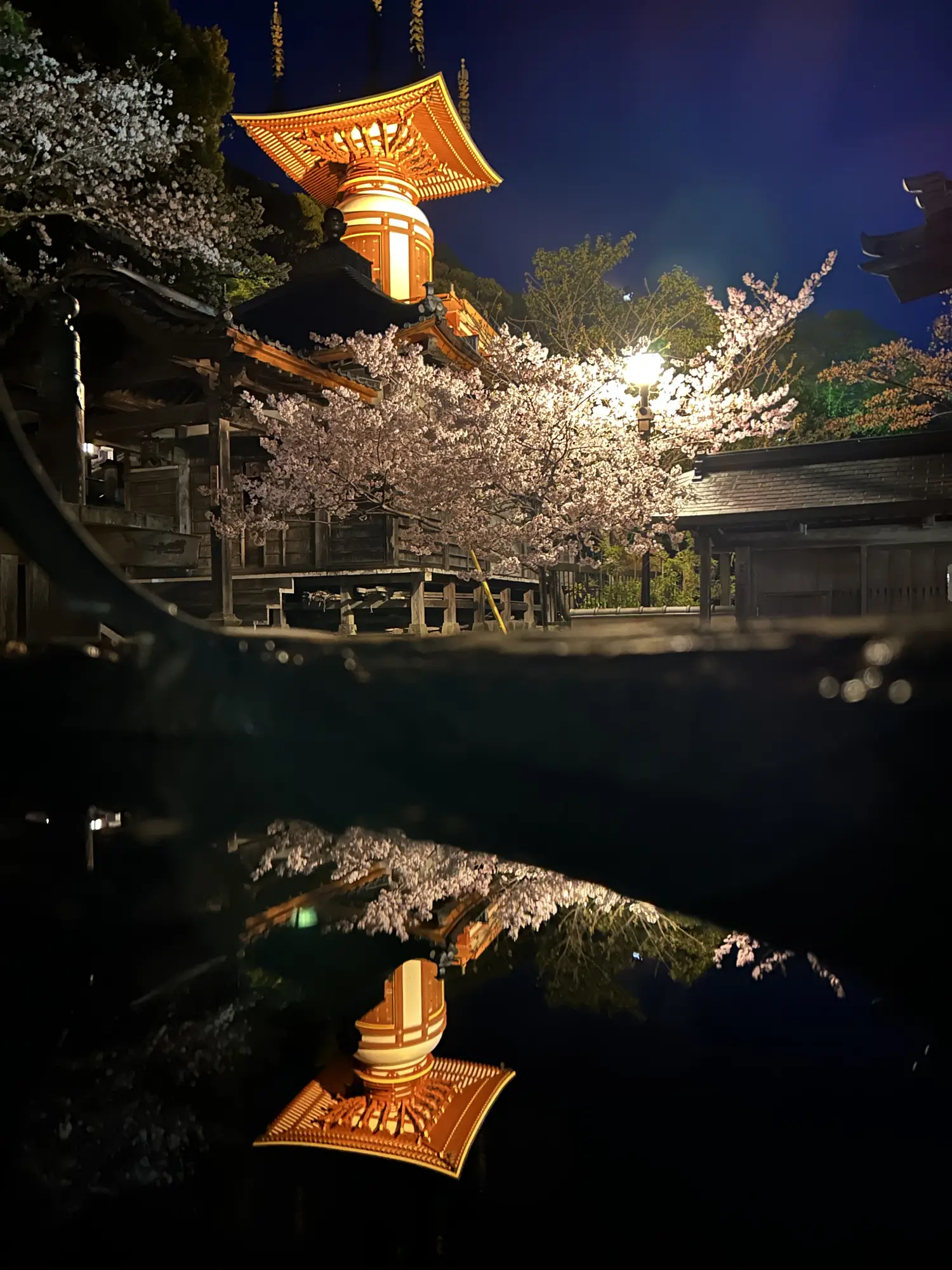 Counting on luck at Yakuōji (Tokushima Prefecture)