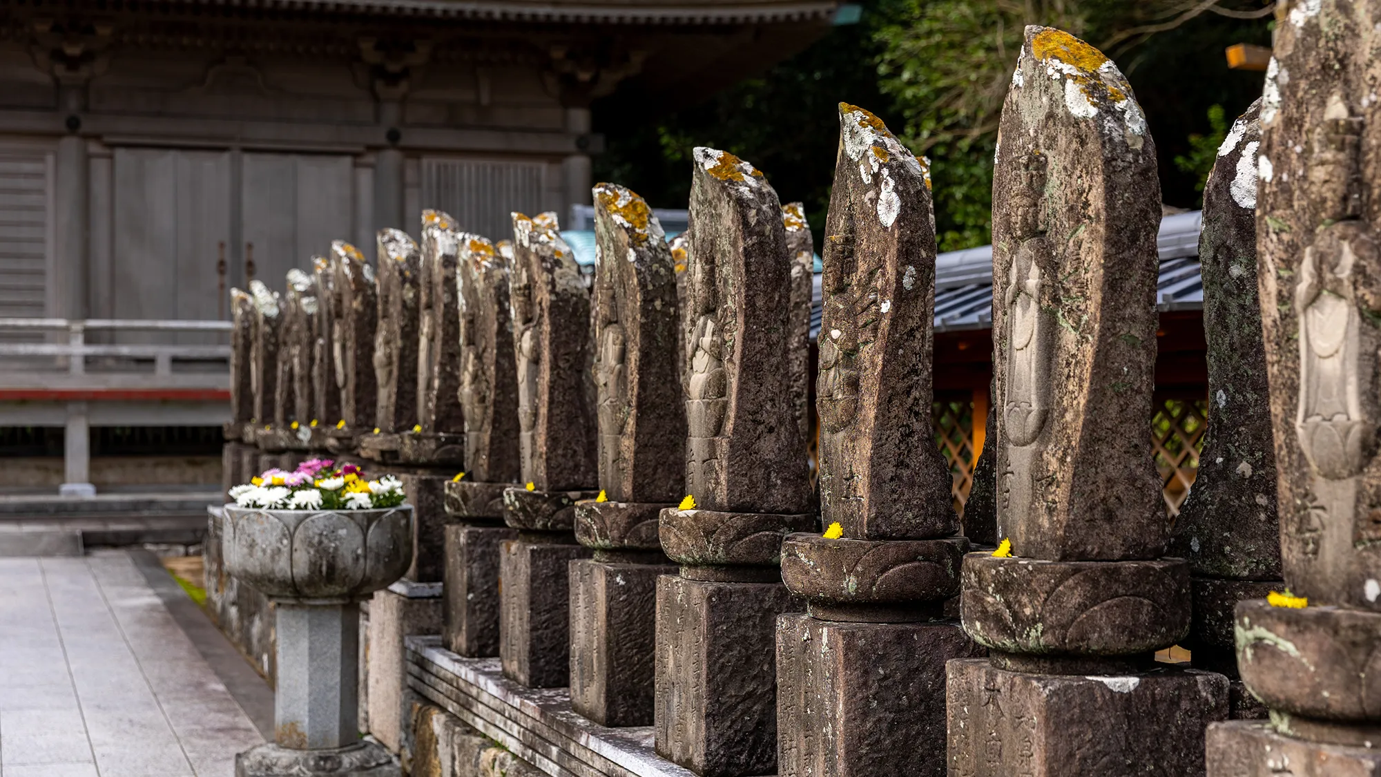 The southern splendour of Kongōfukuji (Kochi Prefecture)