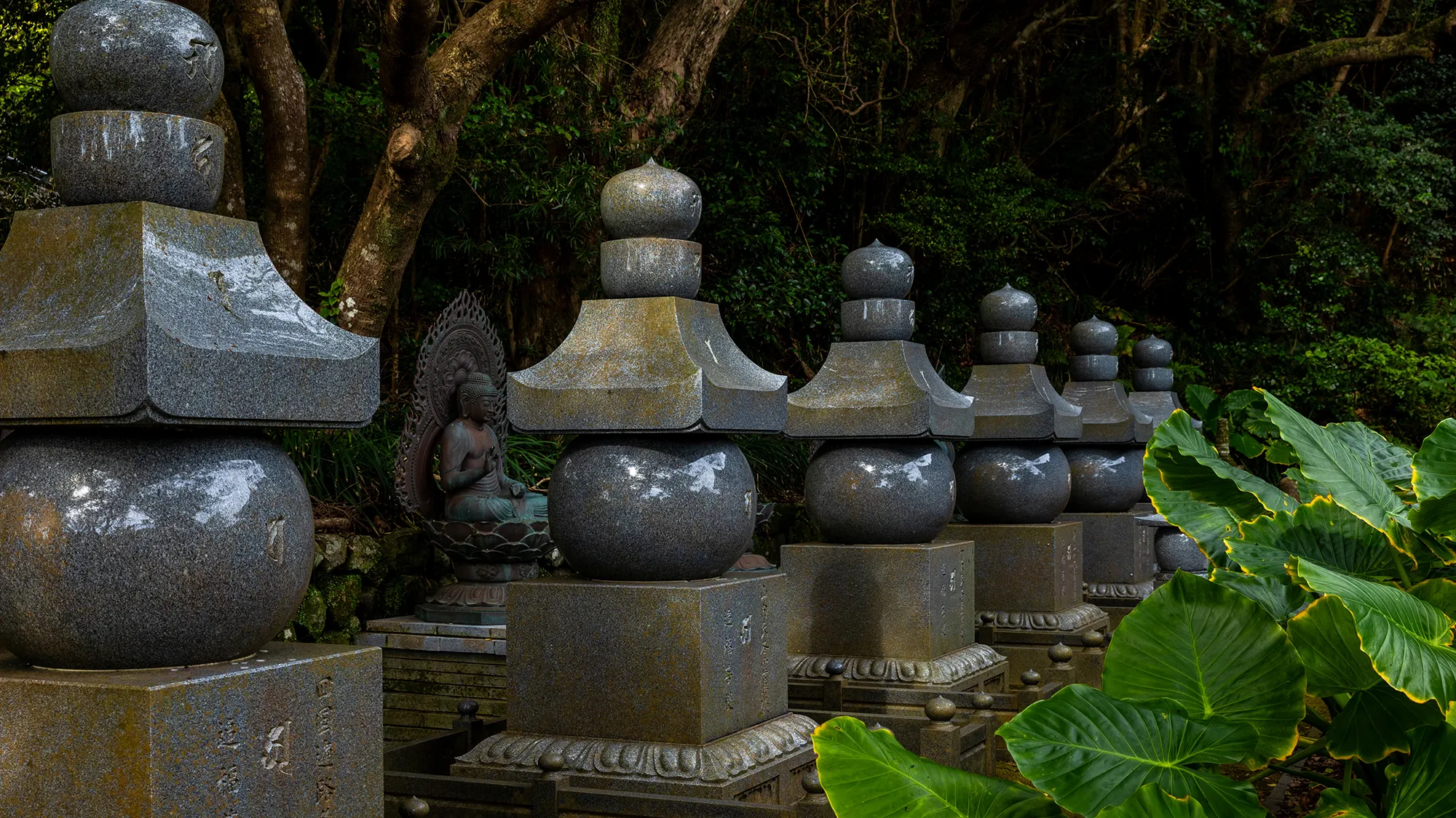 The southern splendour of Kongōfukuji (Kochi Prefecture)