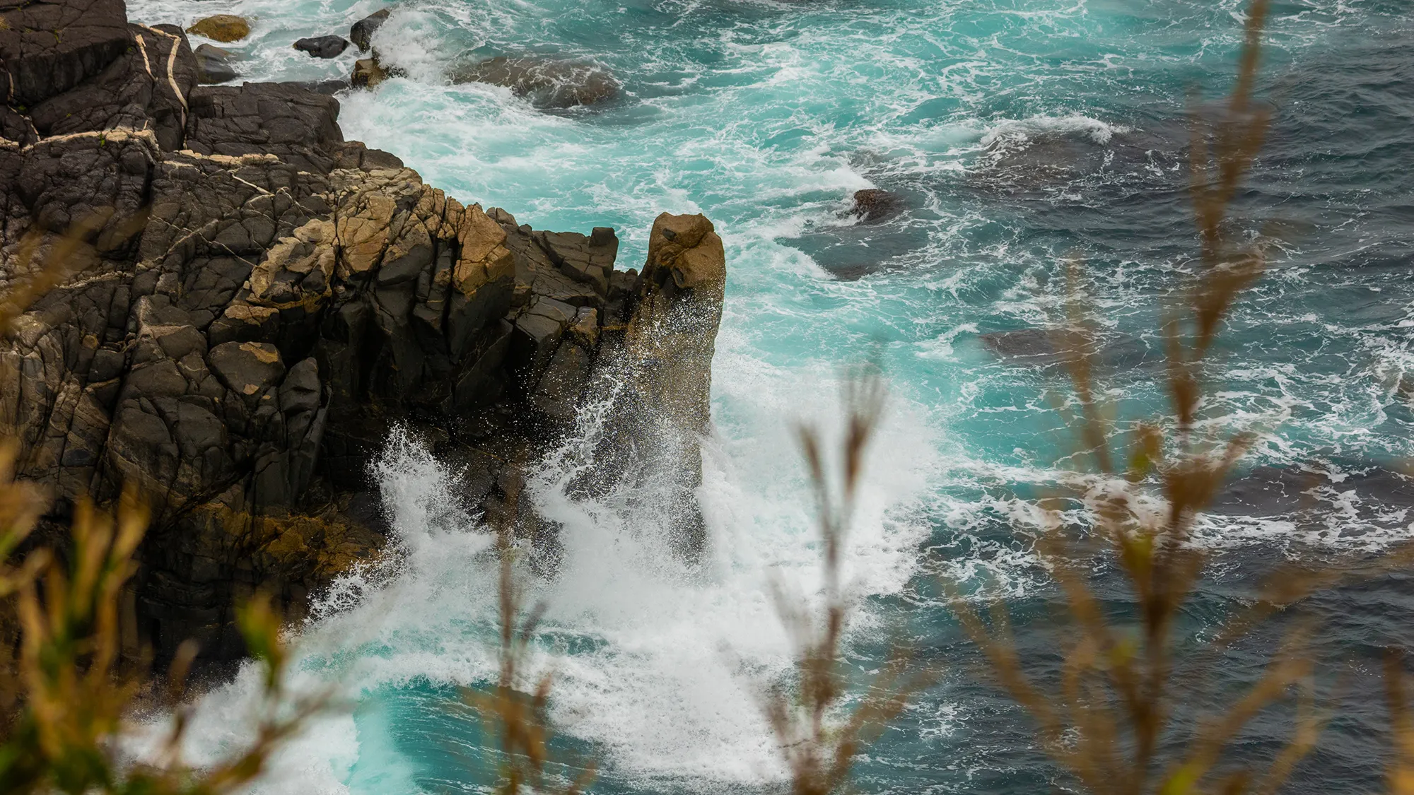 The southern splendour of Kongōfukuji (Kochi Prefecture)