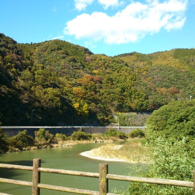 道の駅 清流の里ひじかわ