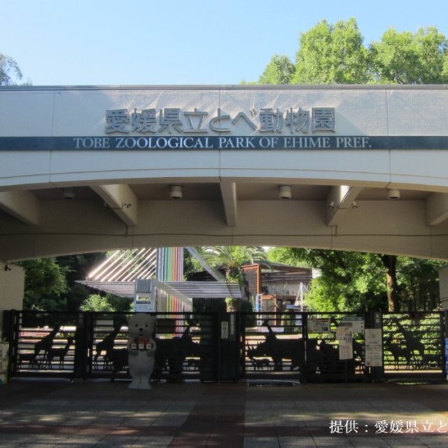 【2025】とべ動物園の日