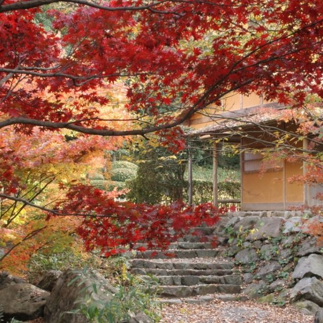 【2025】秋のいやしの南楽園