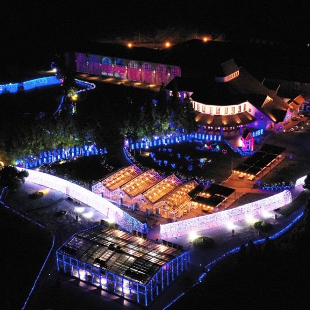 【2025】タオル美術館　イルミネーション＆3Dプロジェクションマッピング