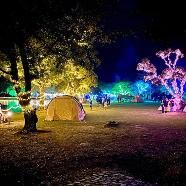 【2025】パークイルミネーションinすのかわ