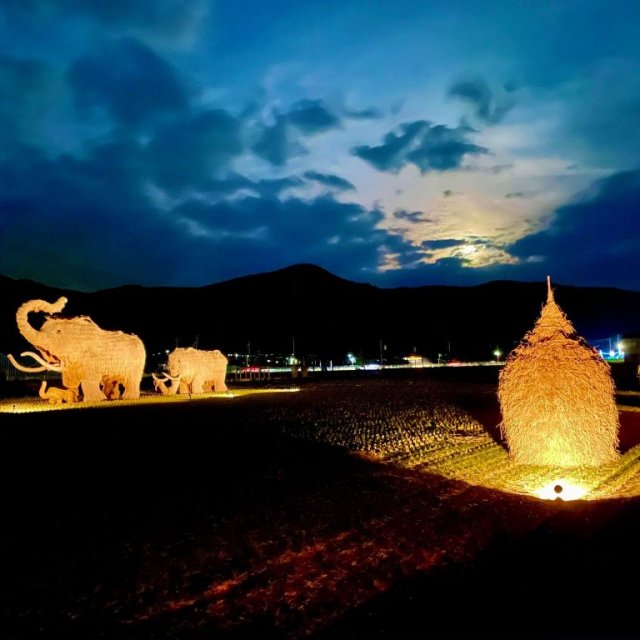 【2026】わらマンモスライトアップ・わらぐろイルミネーション