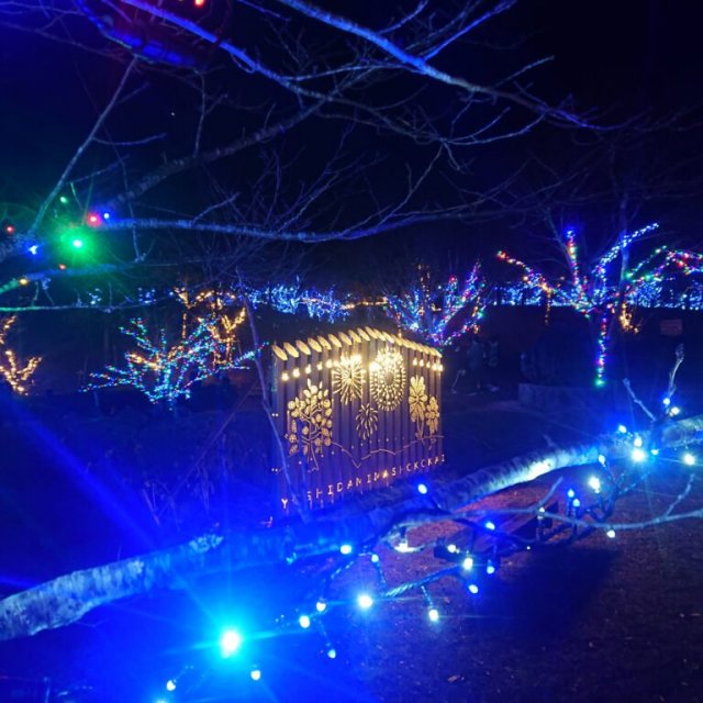 【2026】中山池自然公園イルミネーション