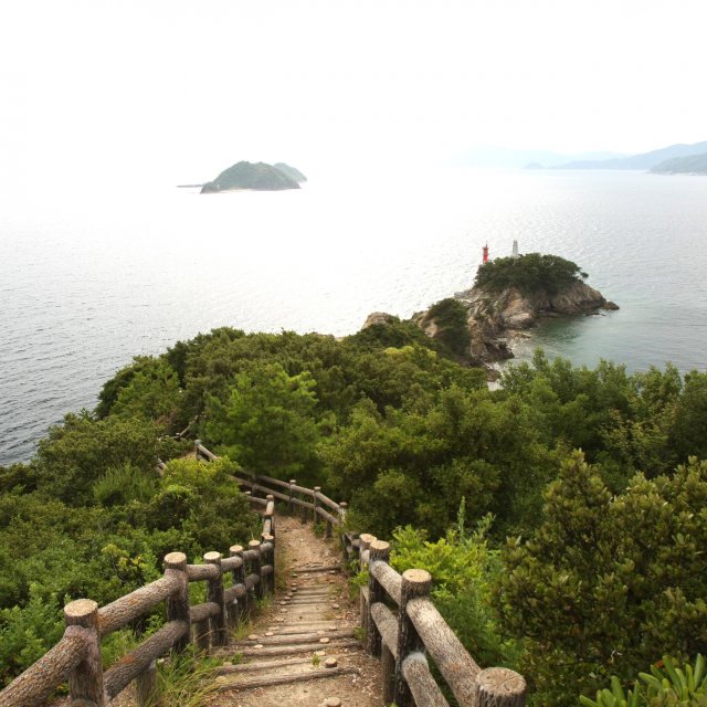 自然休養林諏訪崎