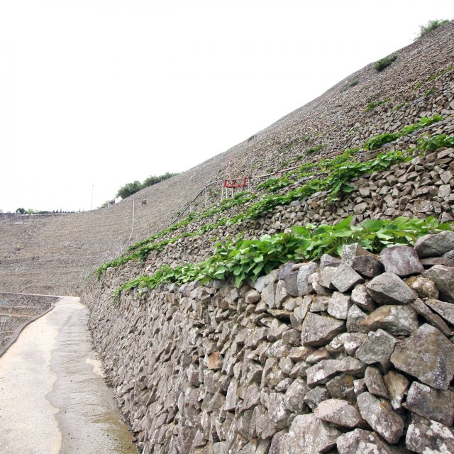 遊子水荷浦の段畑