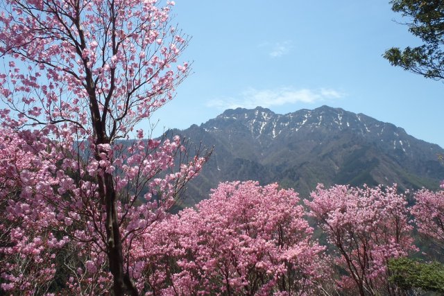 【西条市】石鎚神社