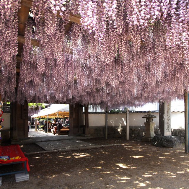 【西条市】禎祥寺(観音堂)
