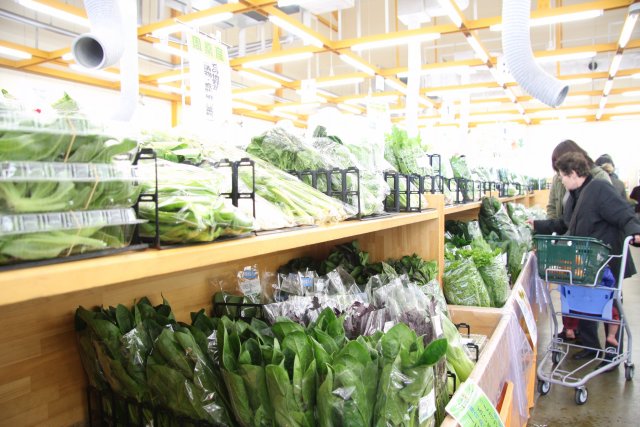 【西条市】周ちゃん広場