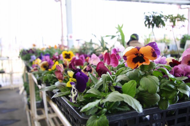 【西条市】周ちゃん広場