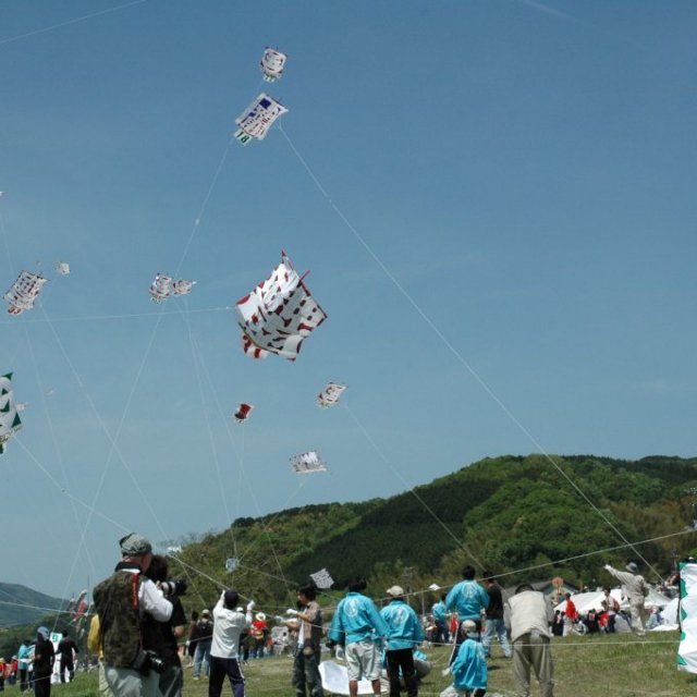 【2026】いかざき大凧合戦