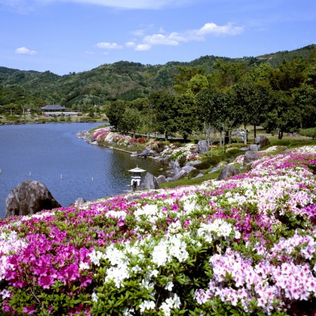 【2026】南楽園つつじまつり