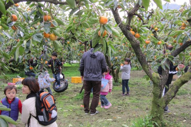 【西条市】観光農園　丹原もぎたて倶楽部