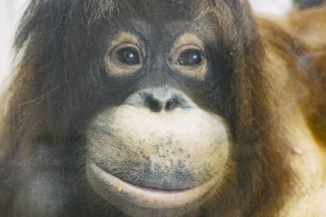 愛媛県立とべ動物園
