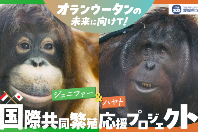 愛媛県立とべ動物園