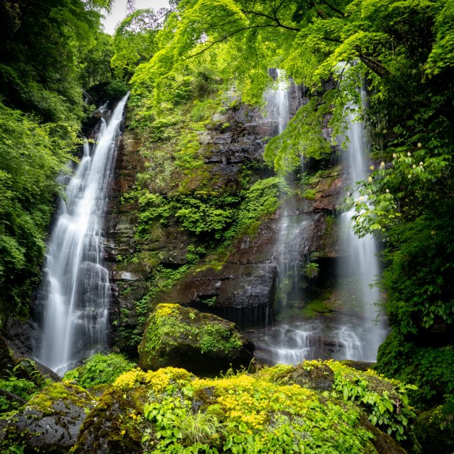Mount Akaboshi (hatataki Falls, Tamasudare Falls)