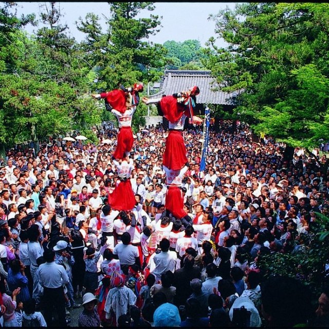 【2026】今治地方春祭り