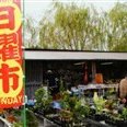みろく園芸趣味の会日曜市