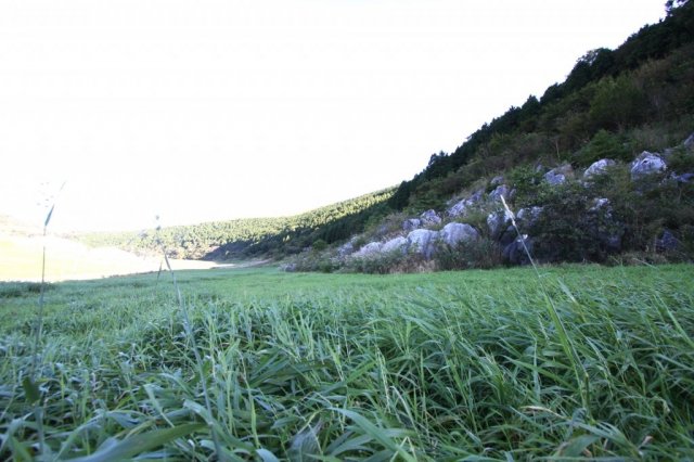 Karst de Shikoku