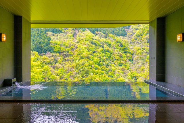 Oboke Iya Hot Spring  Village (lodging)