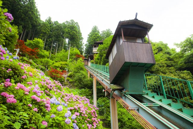 Oboke Iya Hot Spring  Village (lodging)