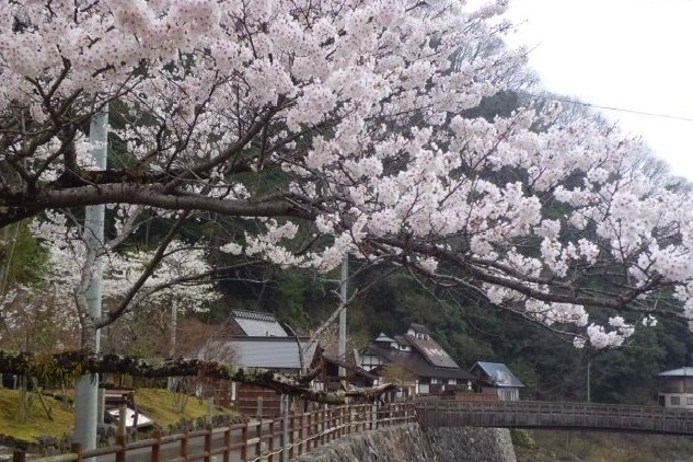 塩江温泉郷　宿泊