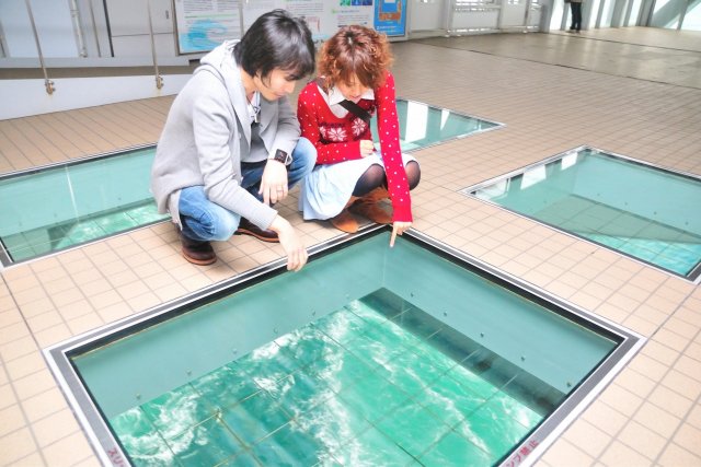 Awaji Whirlpools Naruto Prefectural Uzunomichi / Onaruto Bridge Walkway, Uzu-no-michi (Whirlpools Path)