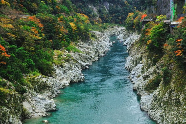 大歩危峡遊覧船