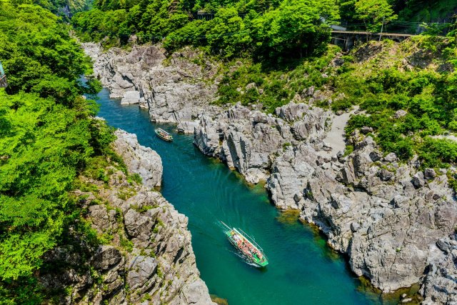 大歩危峡遊覧船