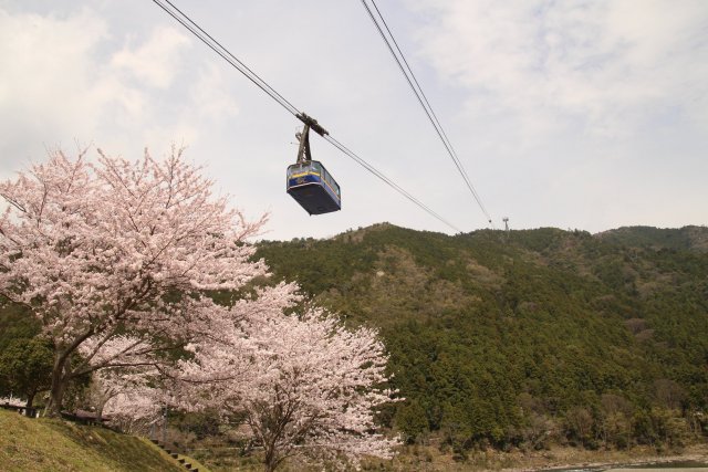 第21番札所 舎心山 常住院 太龍寺