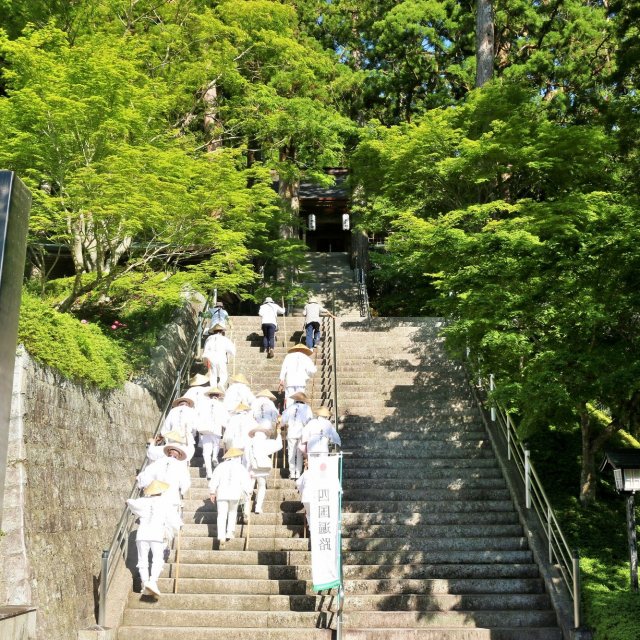 第21番札所 舎心山 常住院 太龍寺