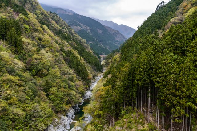 大歩危祖谷溫泉鄉（住宿）