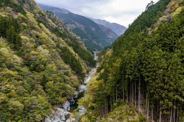 大歩危祖谷温泉郷（宿泊）