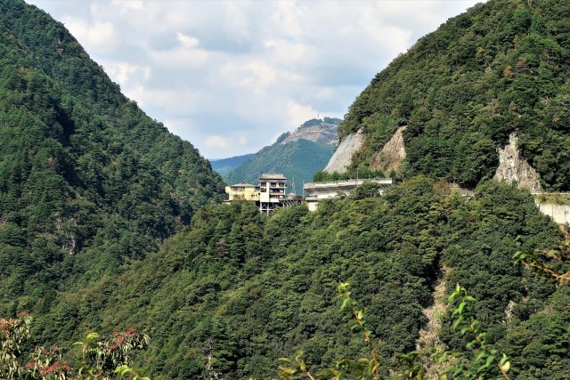 大歩危祖谷温泉郷（宿泊）