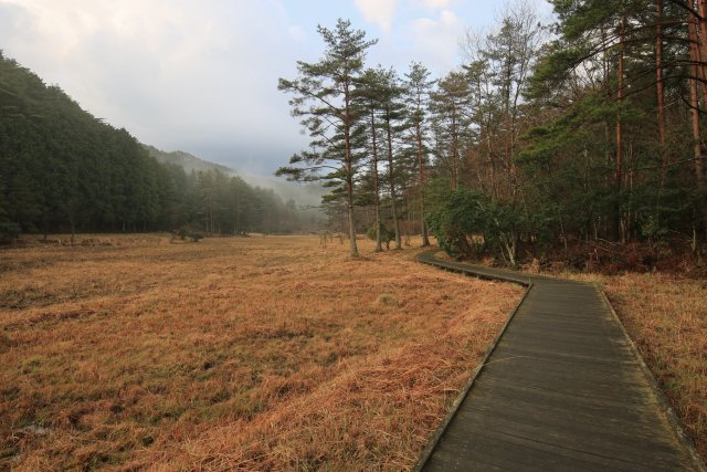 黒沢湿原