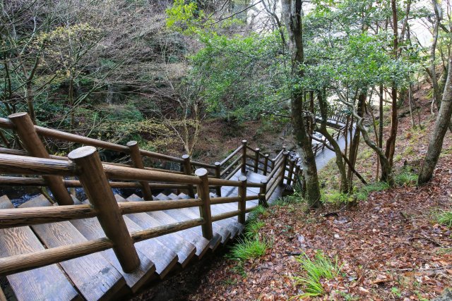 黒沢湿原