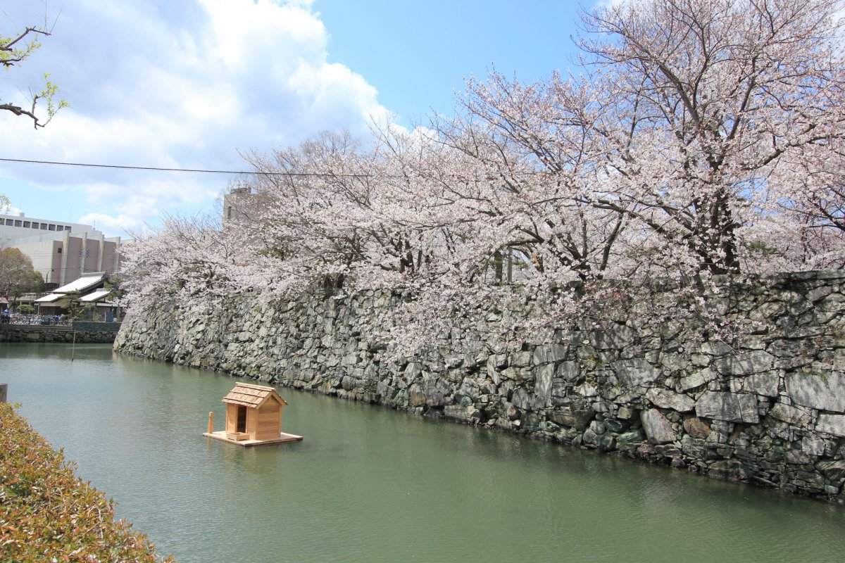 徳島中央公園｜観光スポット｜四国のおすすめ観光・旅行情報！ 【公式】ツーリズム四国
