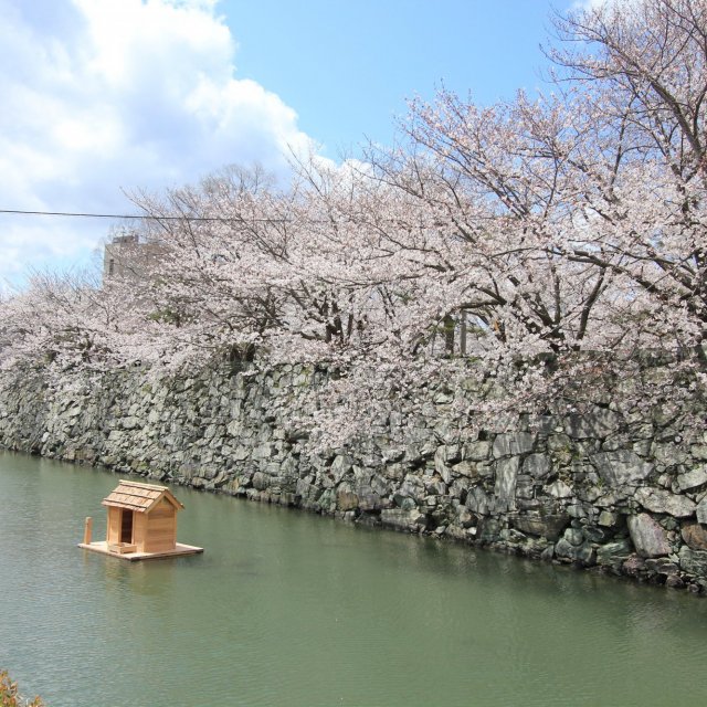 Tokushima Central Park（Tokushima Castle Ruins）