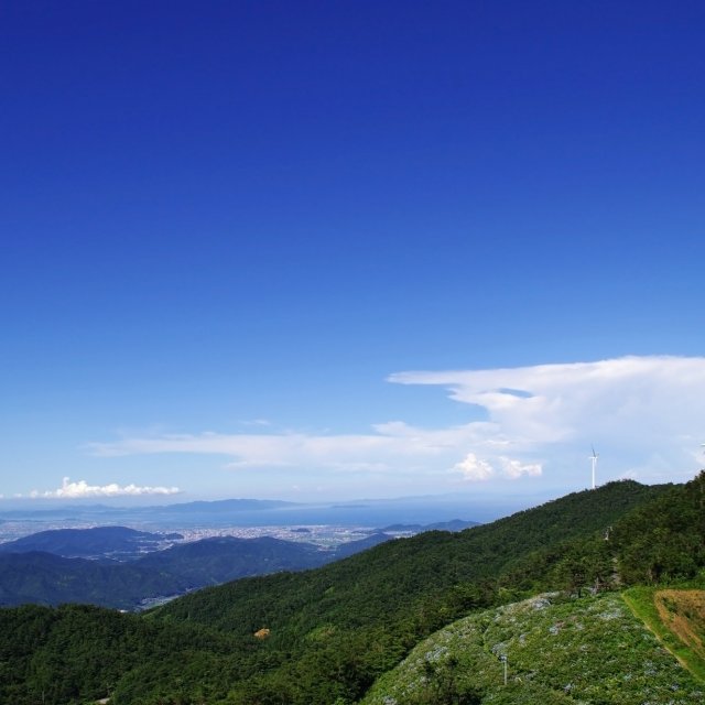 大川原高原