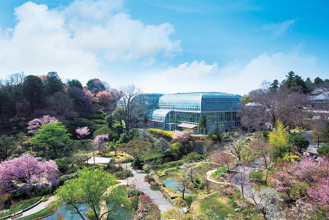 植物園 高知県立牧野植物園｜スポット・体験｜四国のおすすめ観光・旅行情報！ 【公式】ツーリズム四国
