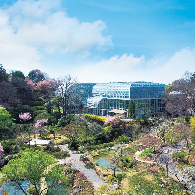 高知県立牧野植物園