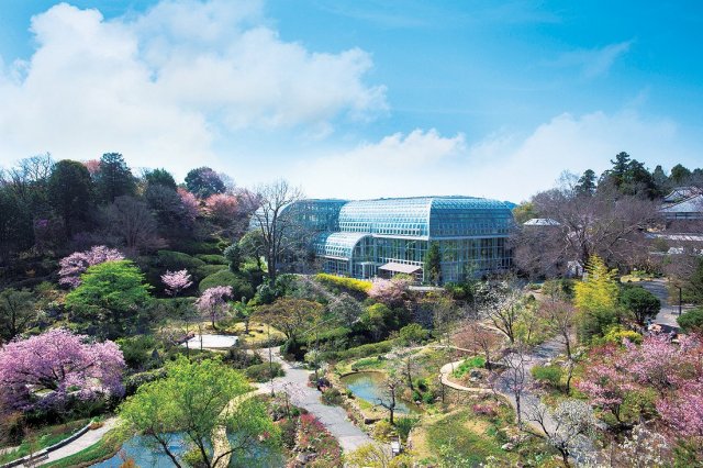 Kochi Prefectural Makino Botanical Garden