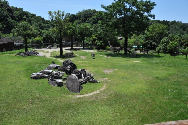 高知県立のいち動物公園