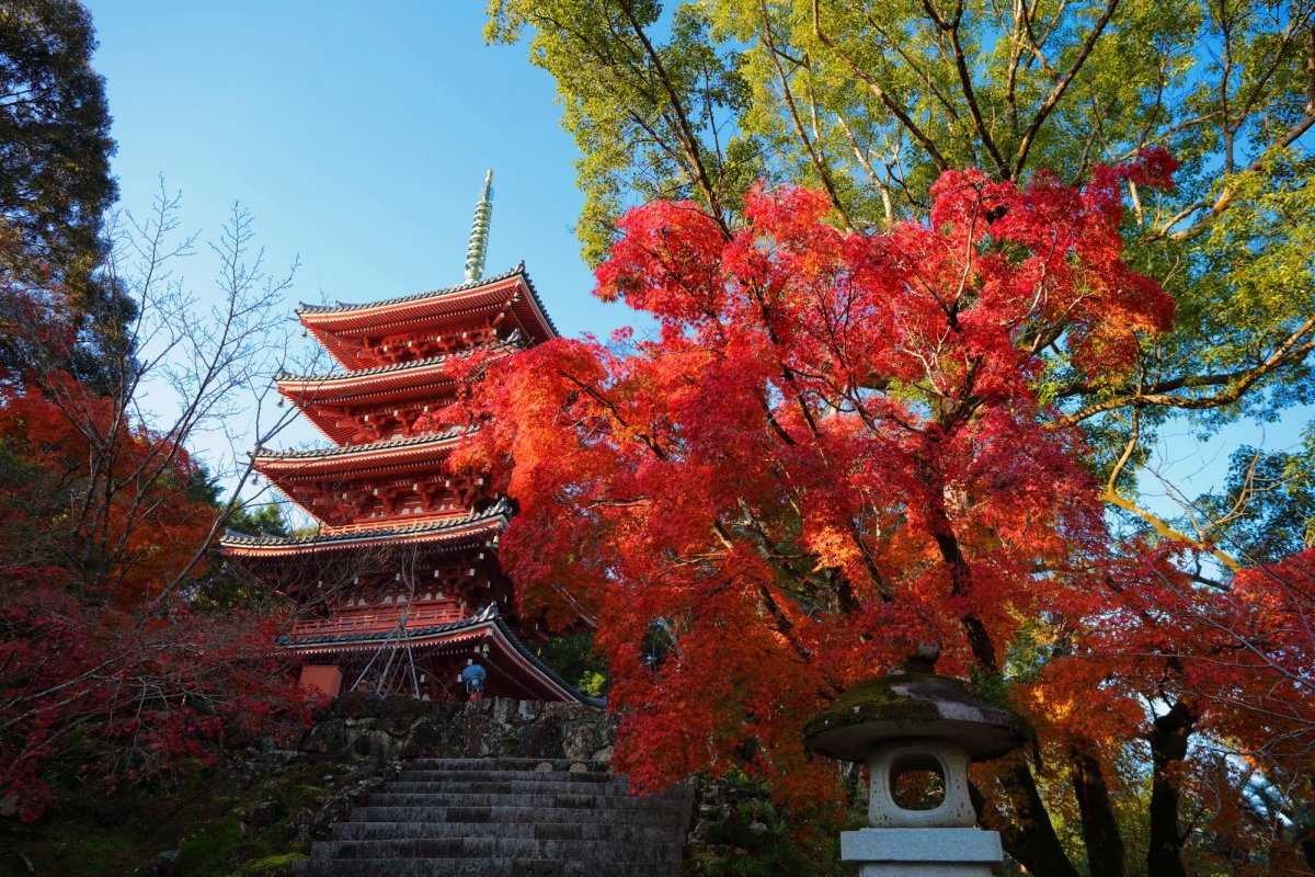 竹林寺｜スポット・体験｜四国のおすすめ観光・旅行情報！ 【公式