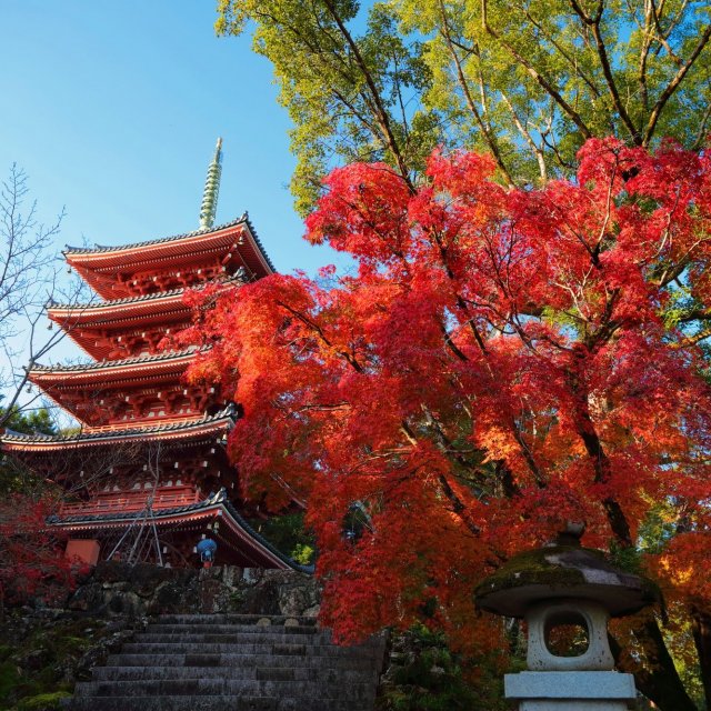 竹林寺